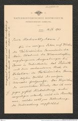 Nachlass Franz Steindachner, Brief von Josef Szombathy an Franz Steindachner (12.06.1903), Inv.Nr. 534.03, Seite 1